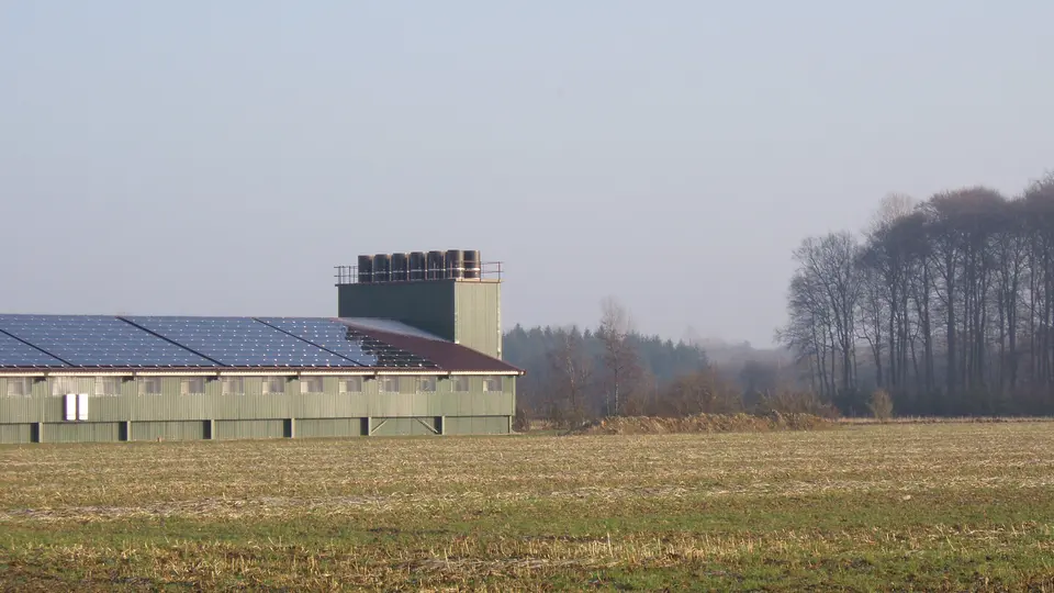 Abluftfilter in Geflügelmastanlagen