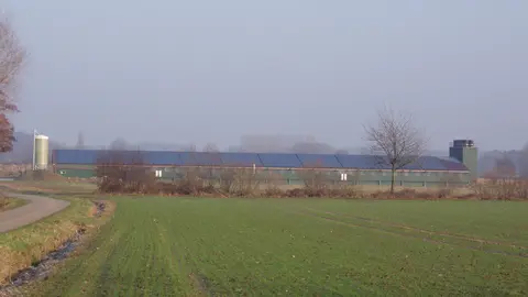 Einwendungen gegen Stallbau in Aulendorf