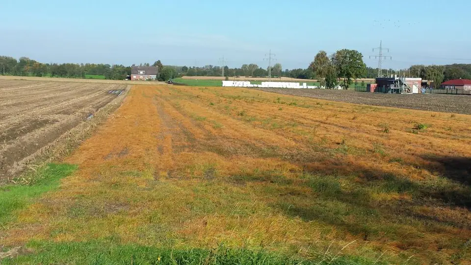 Glyphosatverbot jetzt