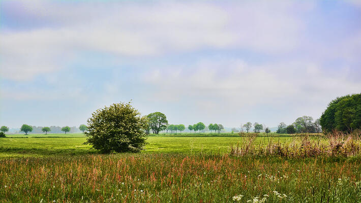 Kleines Dorf im Münsterlande