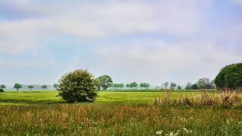 Kleines Dorf im Münsterlande