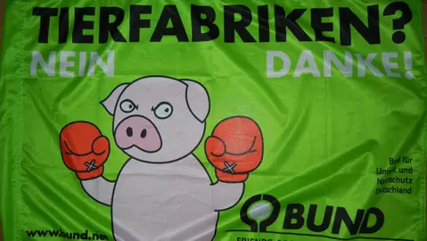 Tönnies fordert andere Schweinehaltung